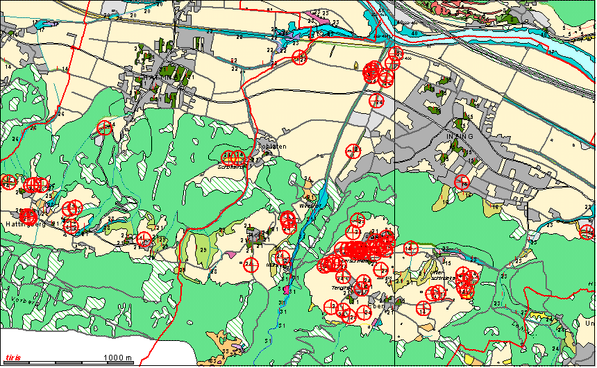 Hecken und Feldgeh�lz