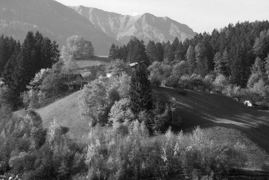 \resizebox*{1\columnwidth}{!}{\includegraphics{Bilder/Wires.eps}}