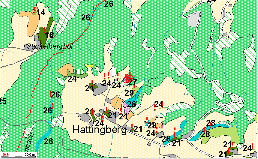 Schilfr�hricht Hattingberg